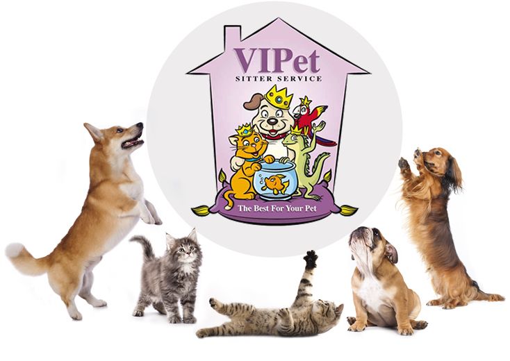Logo with house outline and cartoon pets. Five real pets surround the logo.