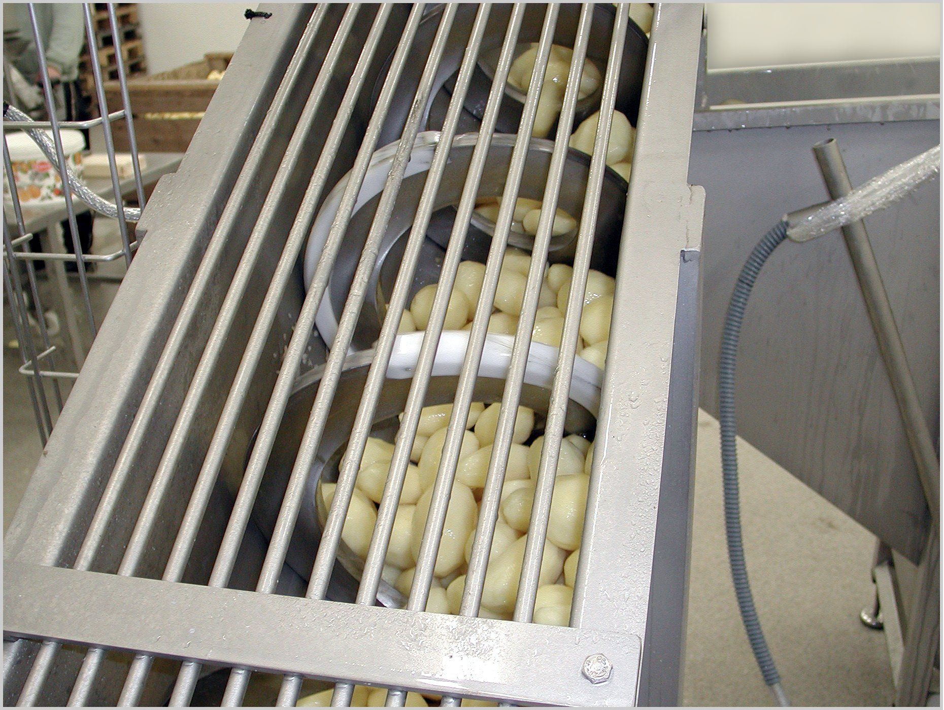 Auger conveyor