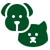 A dog and a cat are sitting next to each other on a white background.
