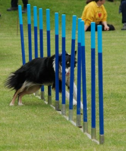 AGILITY