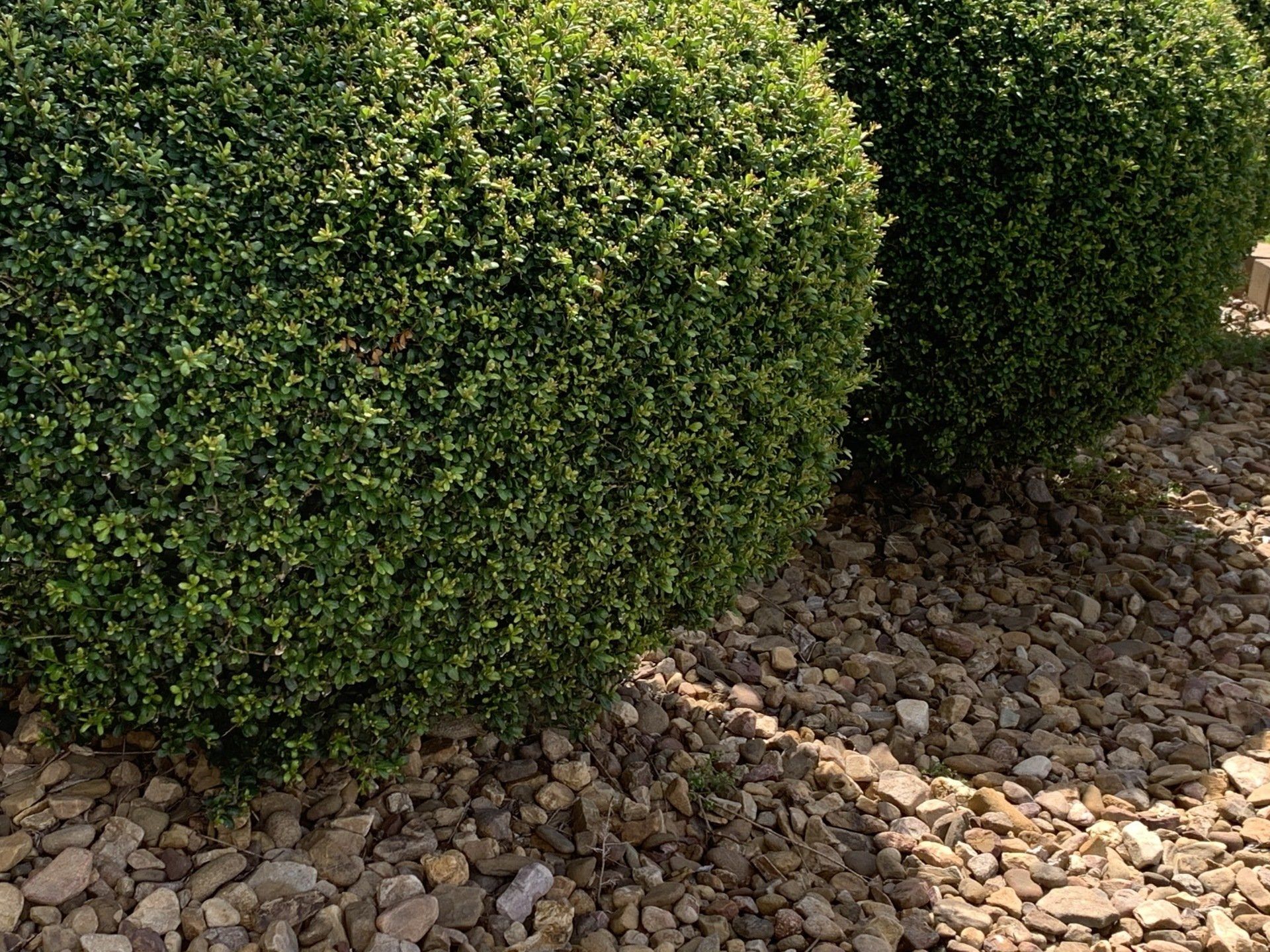 Landscape Material Services in Winston-Salem, NC