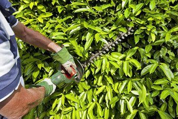 R B Garden Maintenance Services