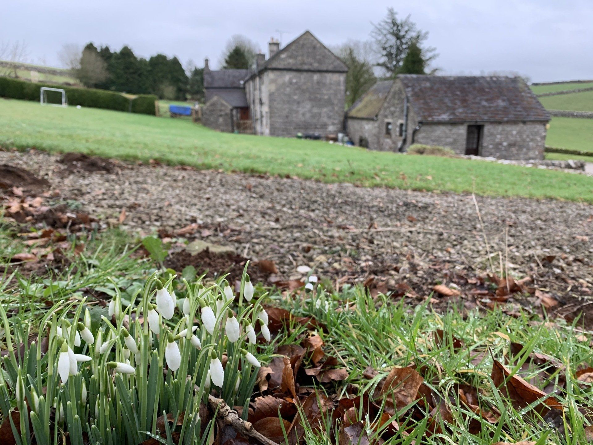 snowdrops-hall-farm-blog