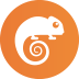 White chameleon icon in an orange circle.