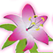 TATY FLORISTERIA