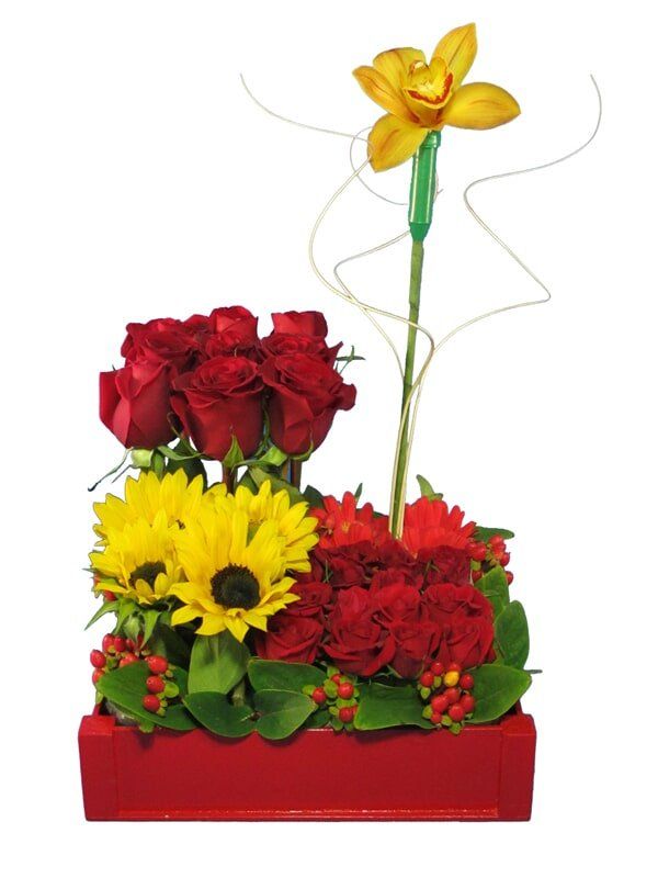 TATY FLORISTERIA - Rosas, orquídea y girasoles