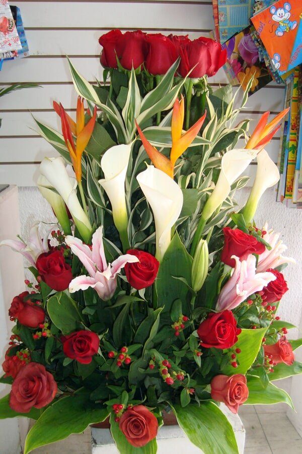TATY FLORISTERIA - Rosas, cartuchos, liliums y flores tropicales