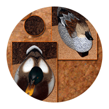 composition cork