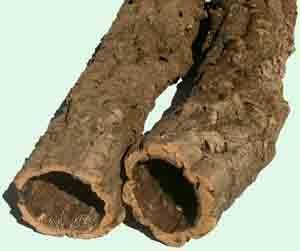 cork tube