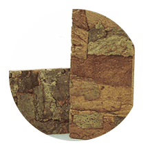 panel cork