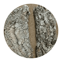virgin cork