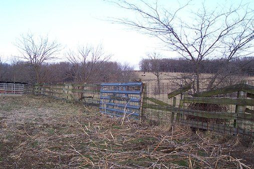 woven fencing material
