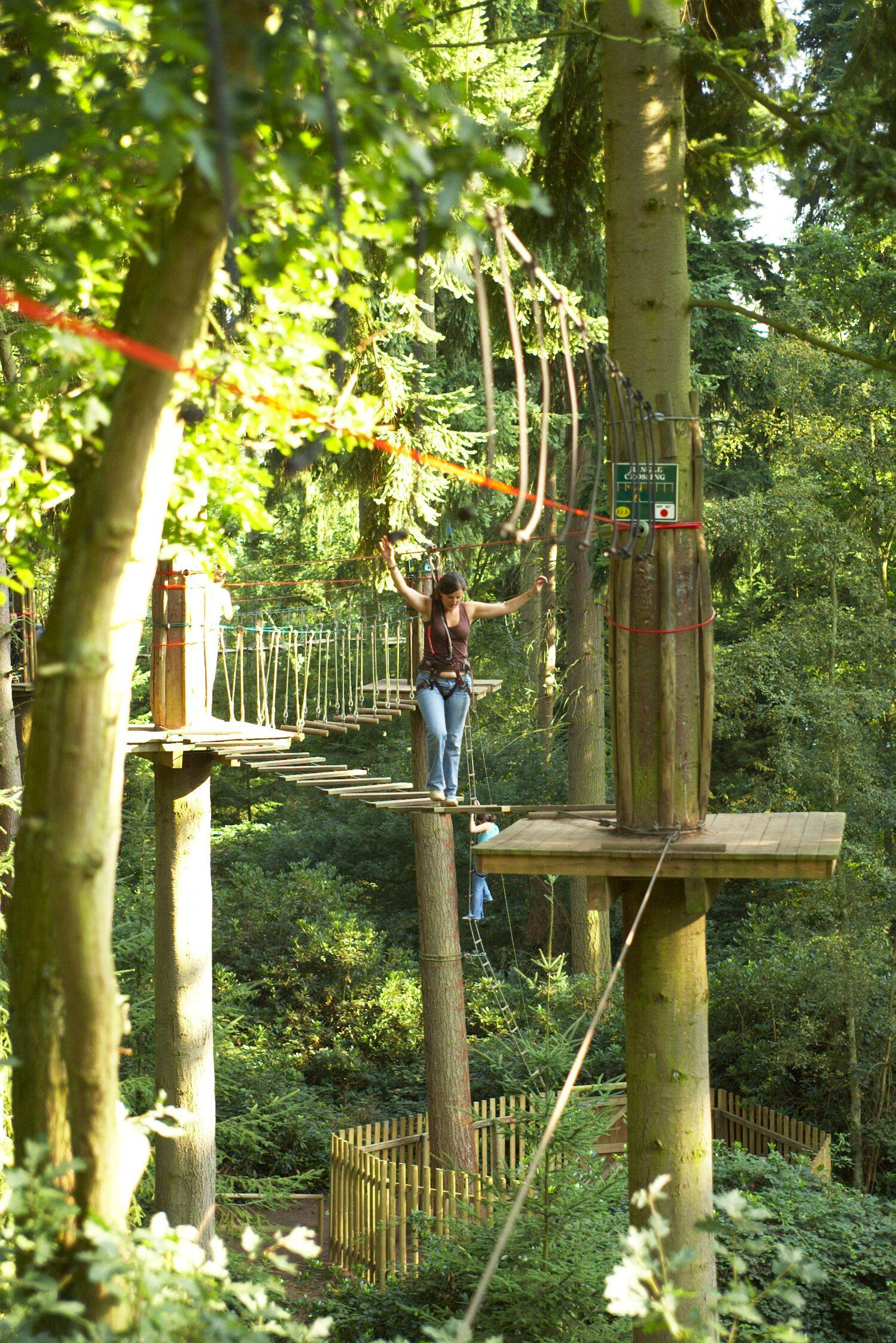 Go Ape Dalby Forest