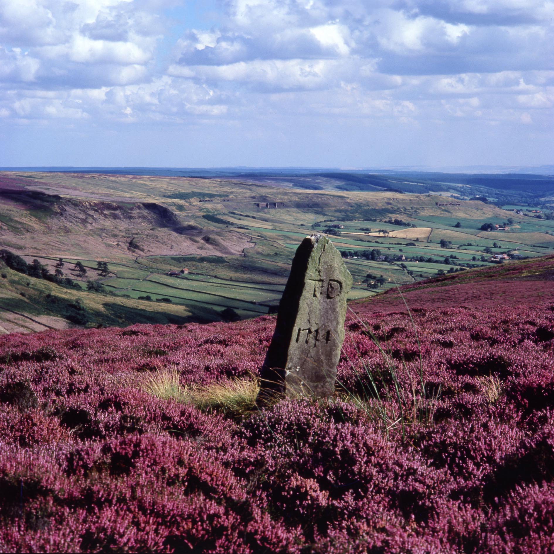 Rosedale