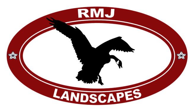 Lawn Care North Texas