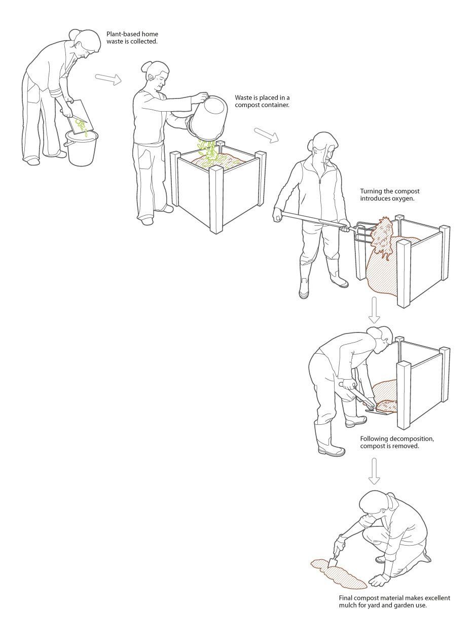 Composting - microbiology line art illustration