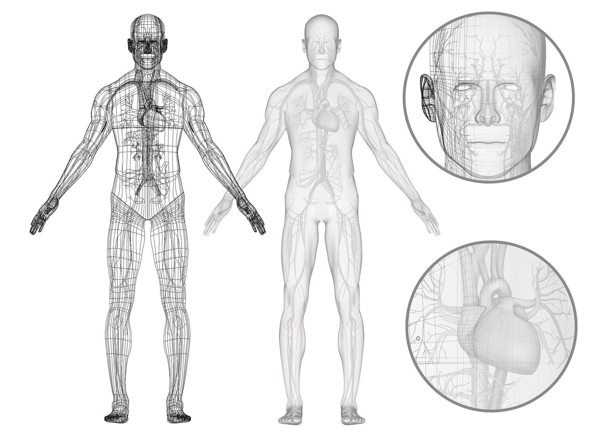 complex vector illustration shading