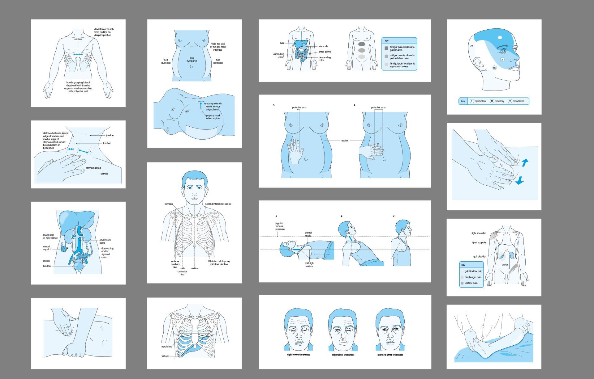 Diagnosis illustrations