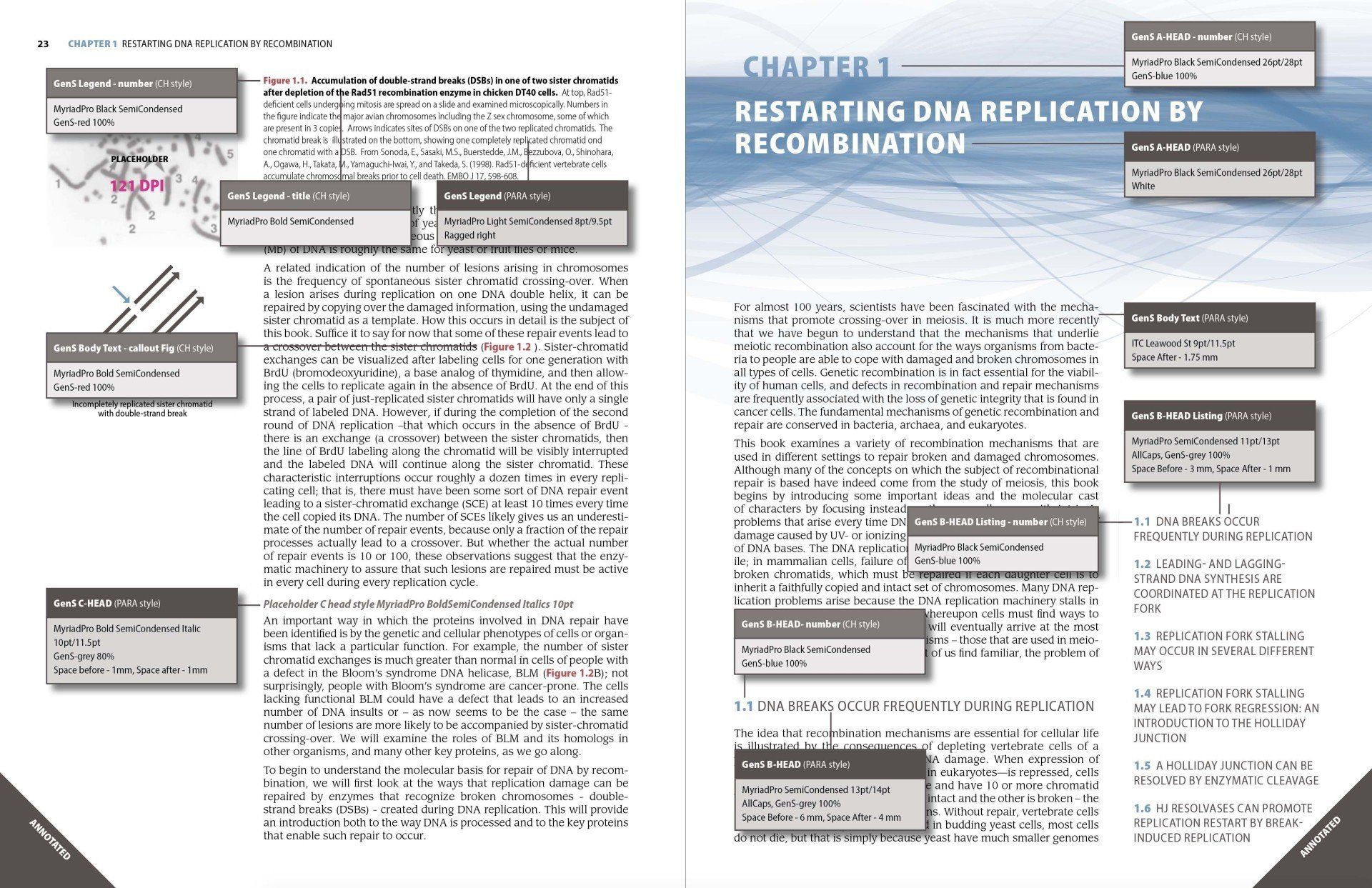 Genetics textbook layout design