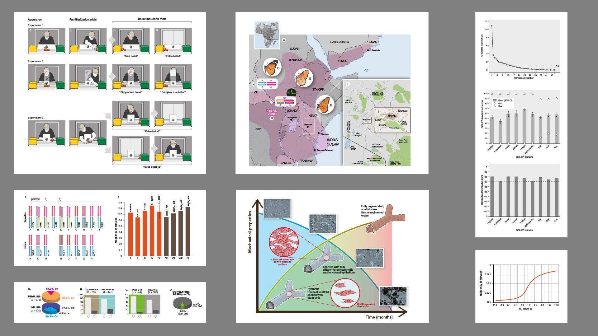 Scientific Papers illustrations