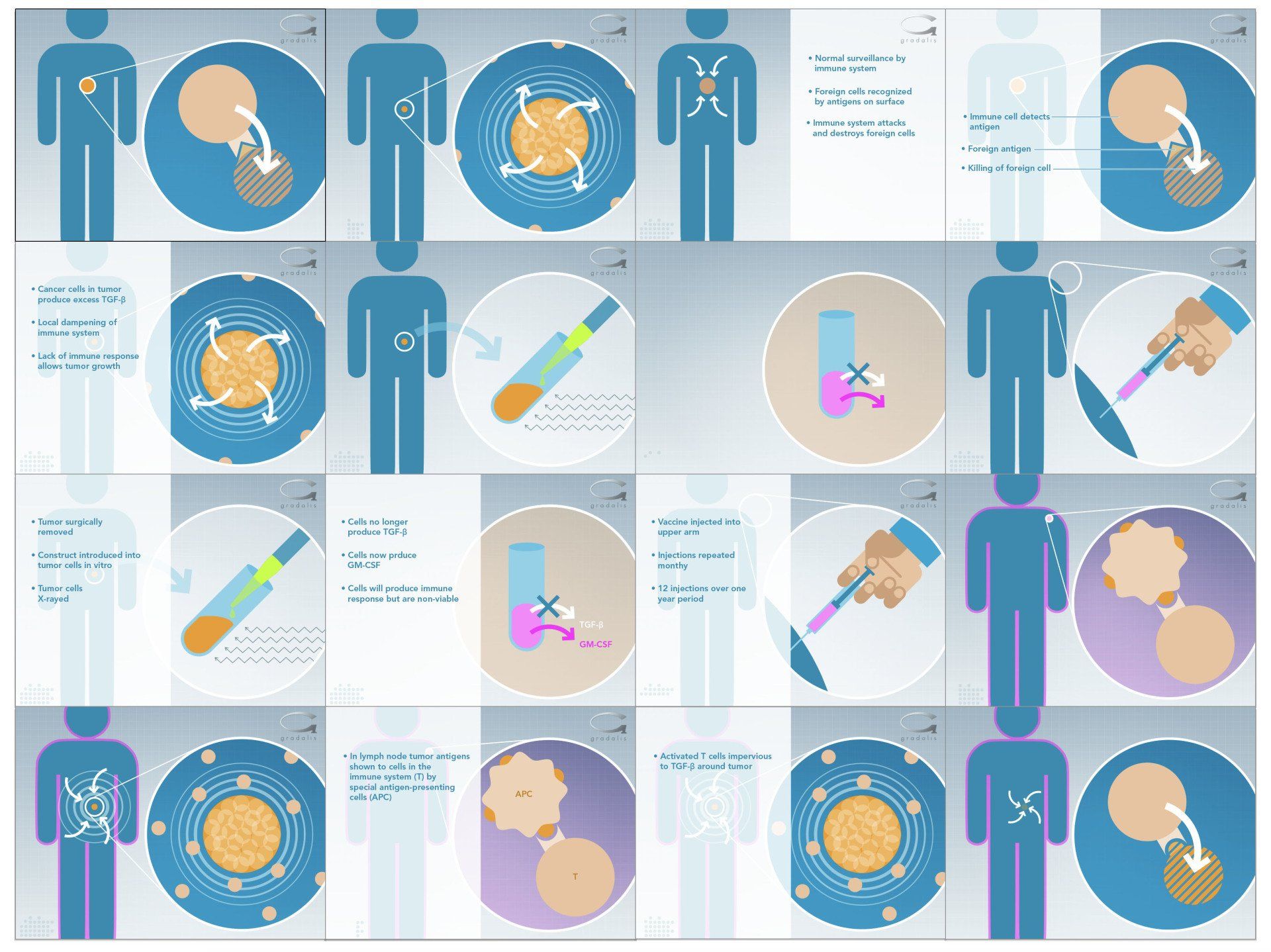 Design and graphics for keynote and powerpoint presentations