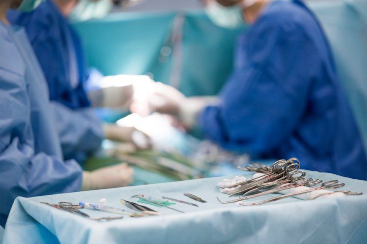 Dog ACL Surgery Navasota, TX