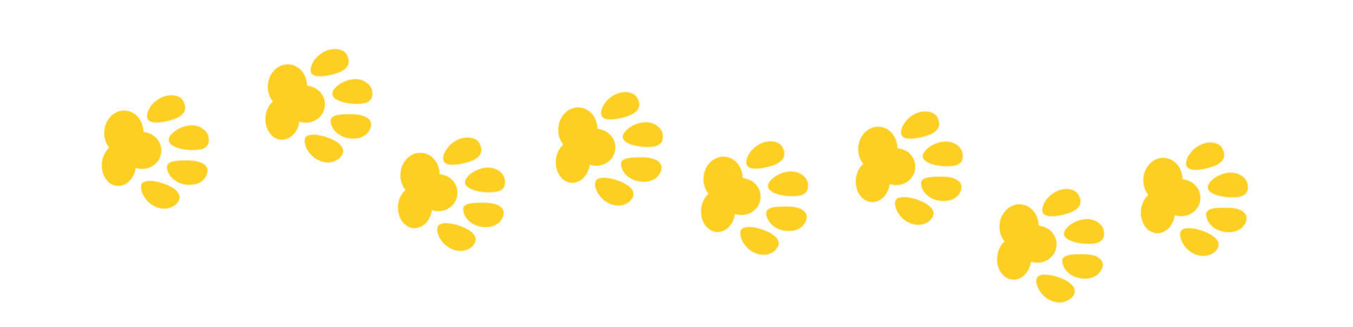 paw prints