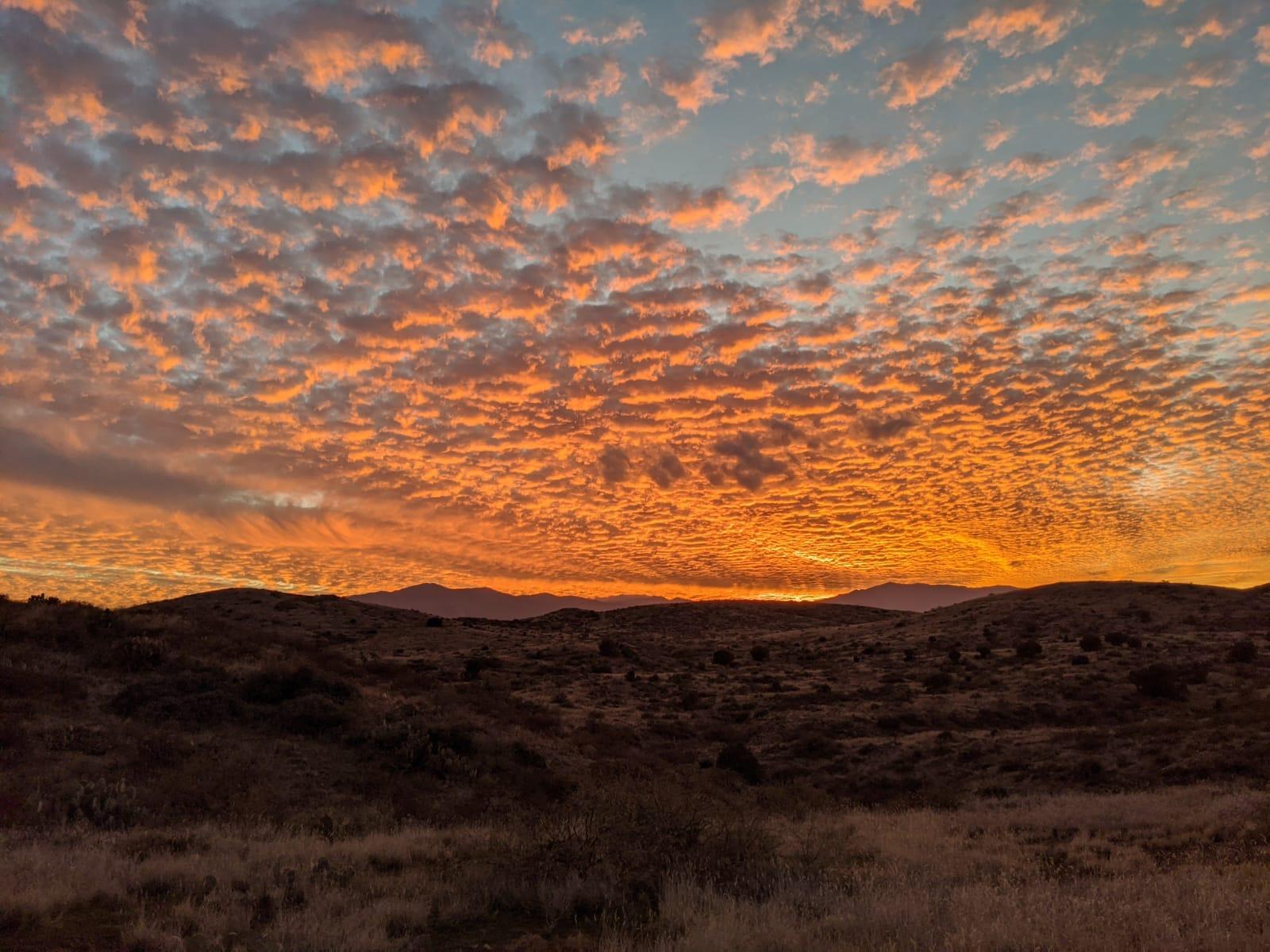 Arizona Sunset , Hunting Arizona