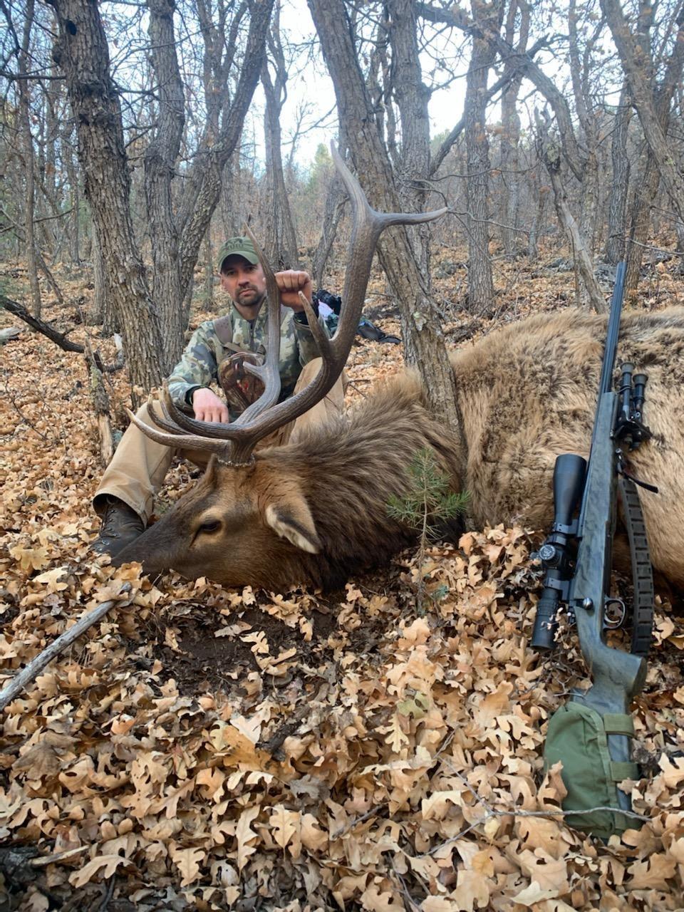 Arizona Elk Hunting