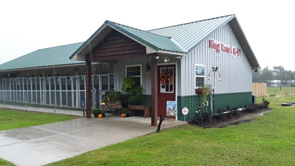 Kings K9 Resort NC