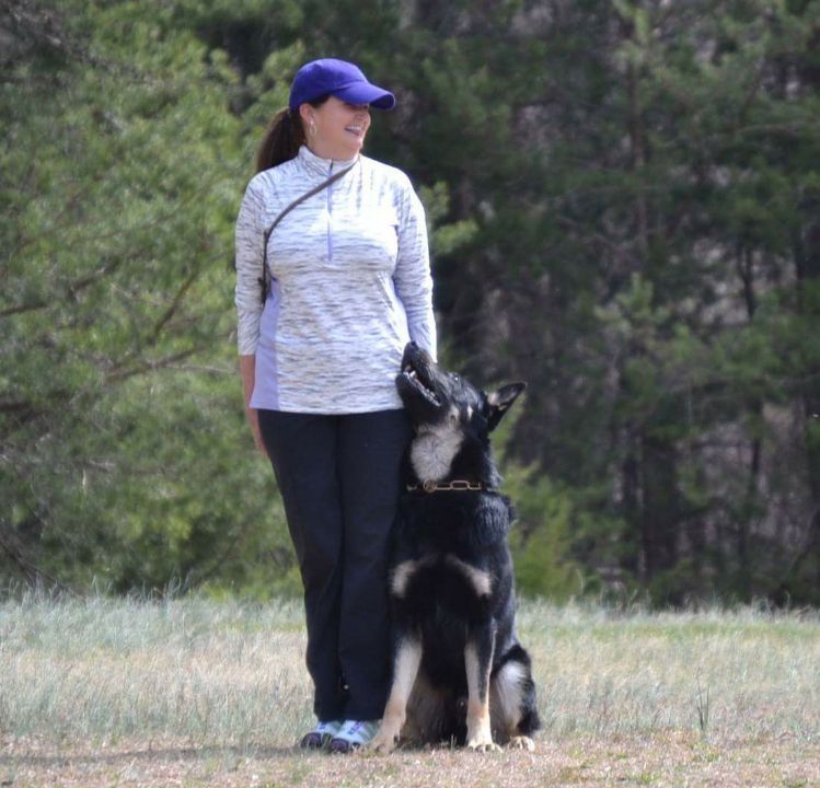Kings K9 Resort offers training