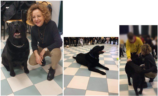 interventi con animali