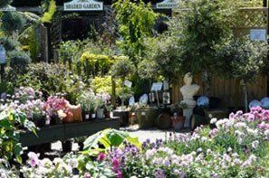 gardening products