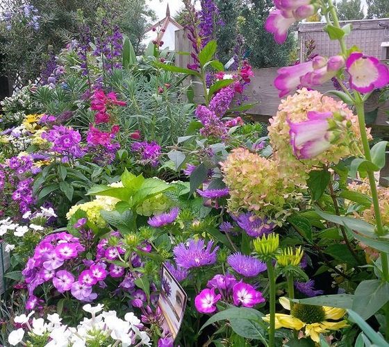 garden services