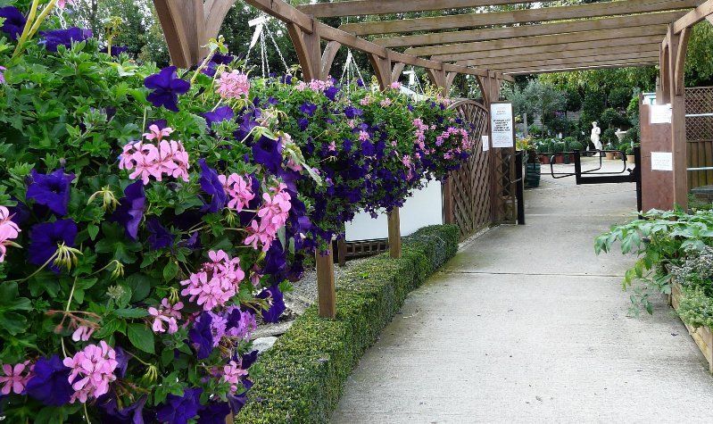 Garden centre