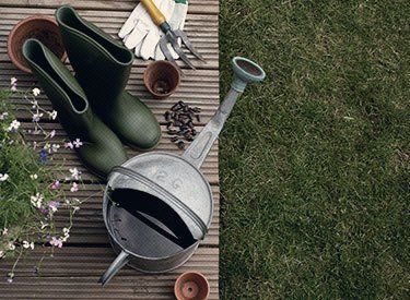Gardening experts