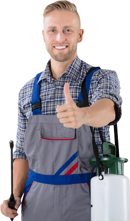 Pest control Exterminator — Piscataway, NJ — Drone Termite & Pest Control Exterminator — Piscataway, NJ — Drone Termite & Pest Control