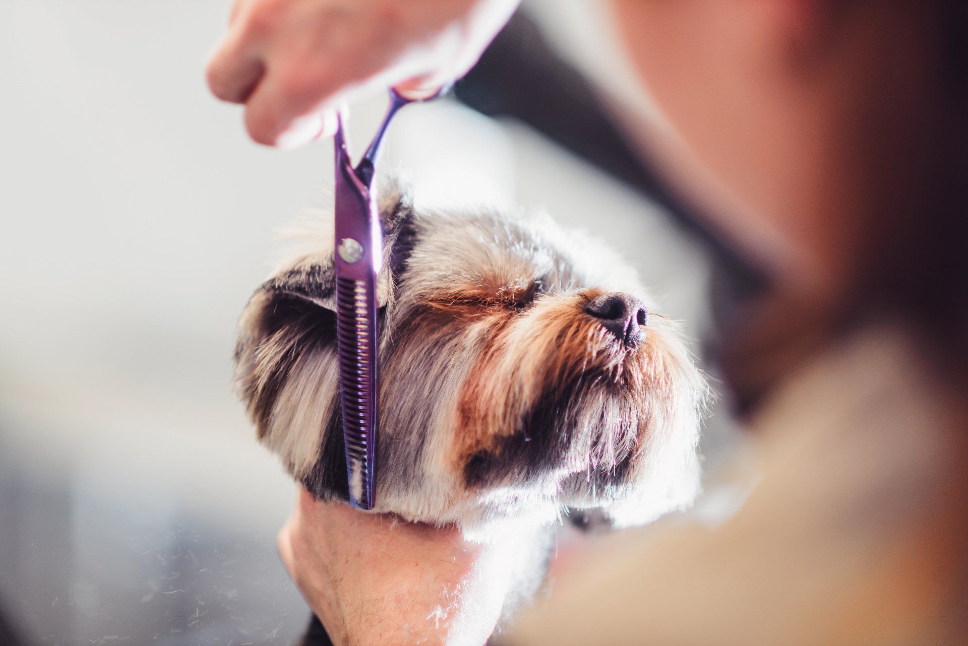 Grooming