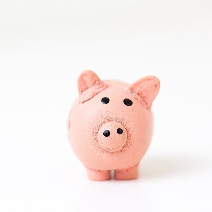 Shoots Marketing - cost of marketing