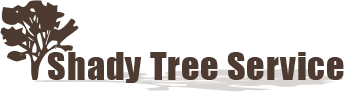 Shady Tree Service Shady Tree Service