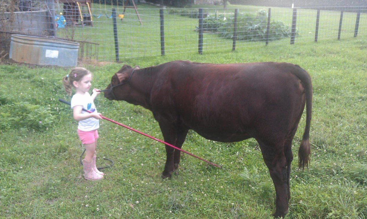 Farm