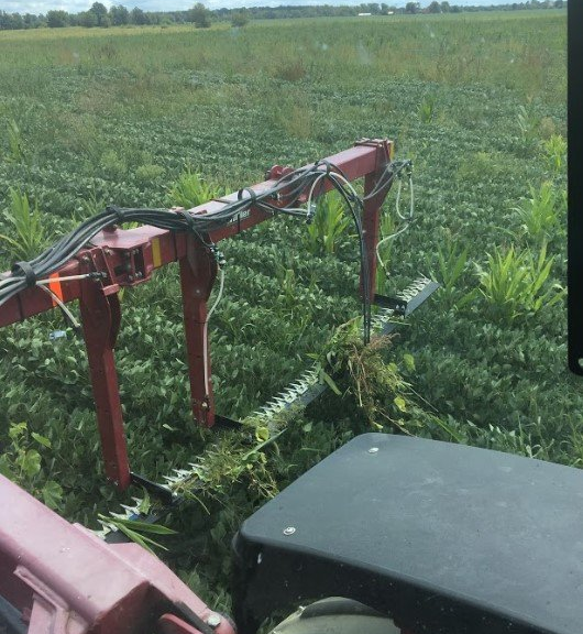 Farm Planting