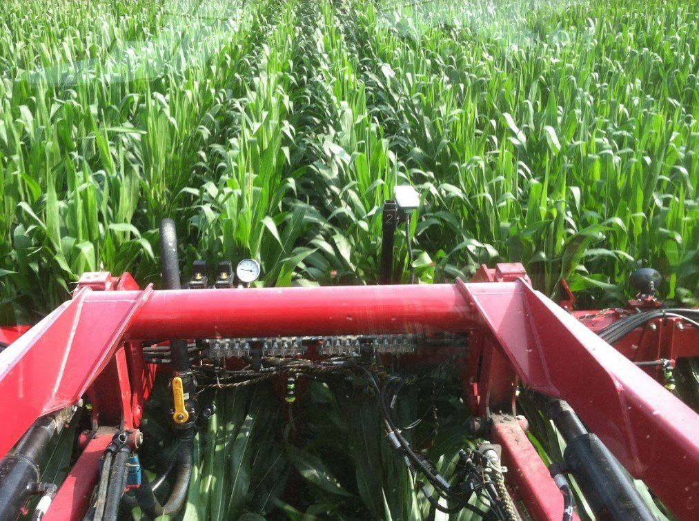 Crop Farm