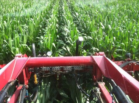 Crop and Soil