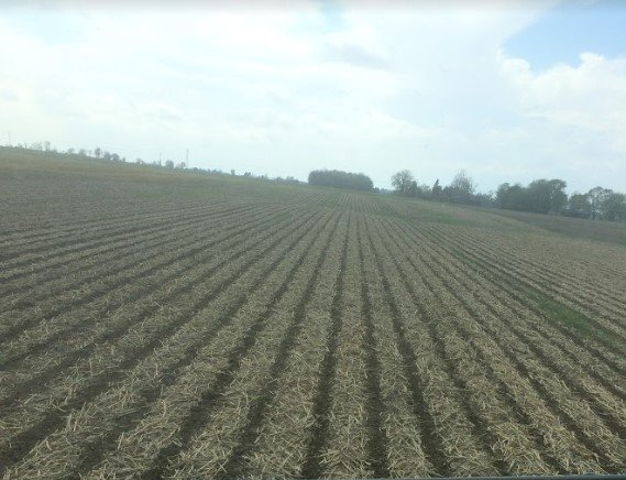 Crop and Soil
