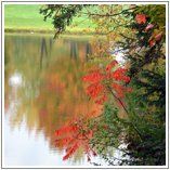 Hillendale Golf Course is an 18 hole, public golf facility located in the middle of the beautiful Fingers Lakes region of upstate New York.