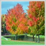 Signup for our 2013 Season.