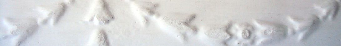 Example of fine plastering techniques in Taupo