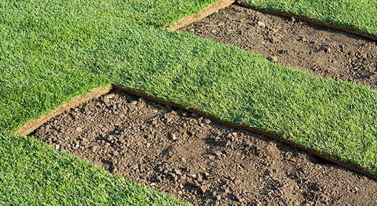 Sod - Sod in Colorado Springs, CO Turf being installed in Colorado Springs, CO