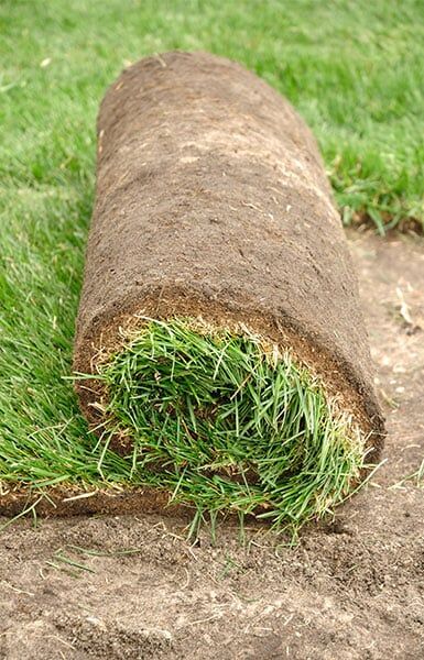 Sod Roll - Sod Installation in Colorado Springs, CO Sod Roll - Sod Installation in Colorado Springs, CO